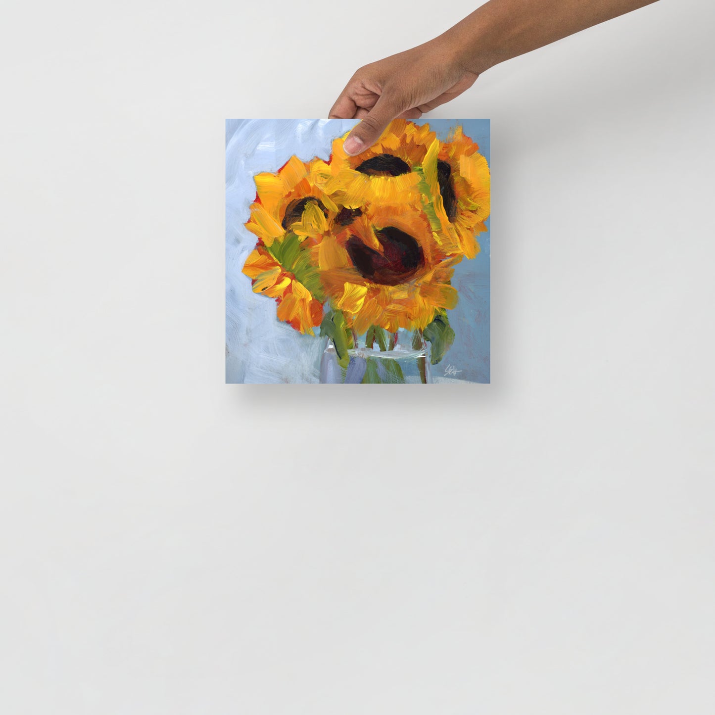 Sun Splash