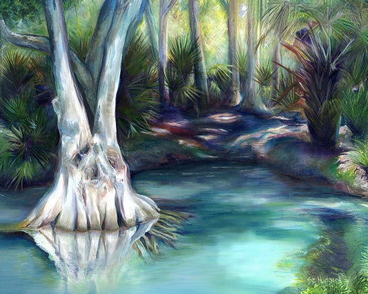 Rainbow Cove (canvas print)
